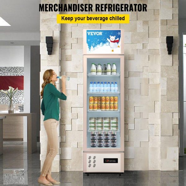 Refrigeration & Ice Equipment | Commercial Refrigerator,Display Fridge Upright Beverage Cooler, Glass Door with LED Light for Home, Store, Gym or Office, (11 cu.ft. Single Swing Door) Refrigeration & Ice Equipment Refrigeration & Ice Equipment