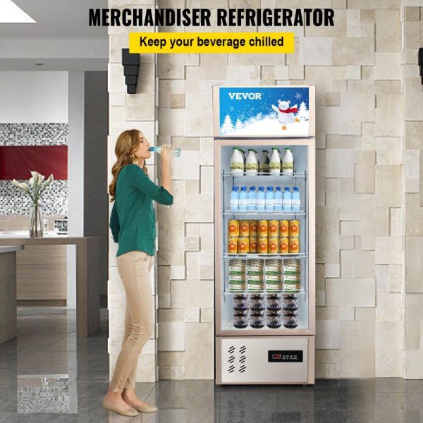 Refrigeration & Ice Equipment | Commercial Refrigerator,Display Fridge Upright Beverage Cooler, Glass Door with LED Light for Home, Store, Gym or Office, (8 cu.ft. Single Swing Door) Refrigeration & Ice Equipment Refrigeration & Ice Equipment